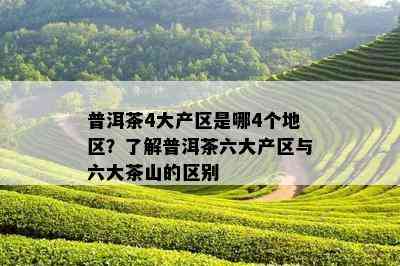 普洱茶4大产区是哪4个地区？了解普洱茶六大产区与六大茶山的区别