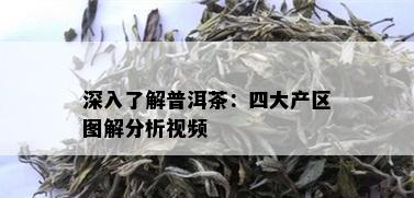 深入了解普洱茶：四大产区图解分析视频