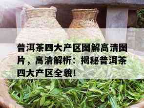 普洱茶四大产区图解高清图片，高清解析：揭秘普洱茶四大产区全貌！