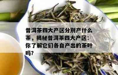 普洱茶四大产区分别产什么茶，揭秘普洱茶四大产区：你了解它们各自产出的茶叶吗？