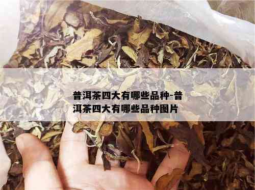 普洱茶四大有哪些品种-普洱茶四大有哪些品种图片