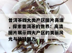 普洱茶四大类产区图片高清，探索普洱茶的世界：高清图片展示四大产区的美丽风光与独特魅力