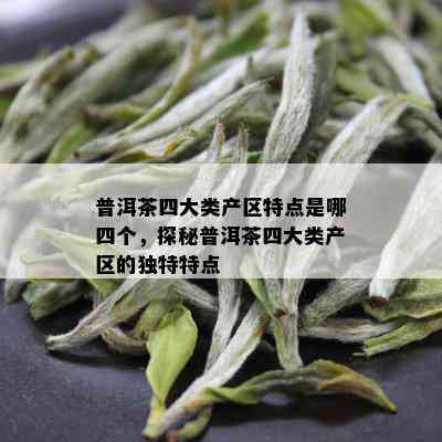 普洱茶四大类产区特点是哪四个，探秘普洱茶四大类产区的独特特点