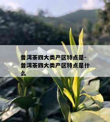 普洱茶四大类产区特点是-普洱茶四大类产区特点是什么