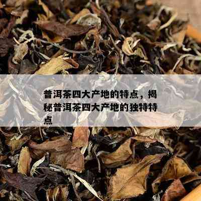 普洱茶四大产地的特点，揭秘普洱茶四大产地的独特特点