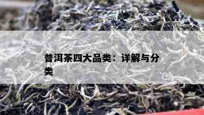 普洱茶四大品类：详解与分类