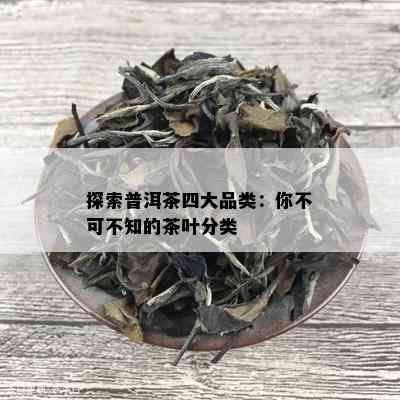 探索普洱茶四大品类：你不可不知的茶叶分类