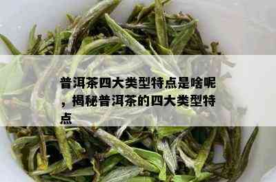 普洱茶四大类型特点是啥呢，揭秘普洱茶的四大类型特点