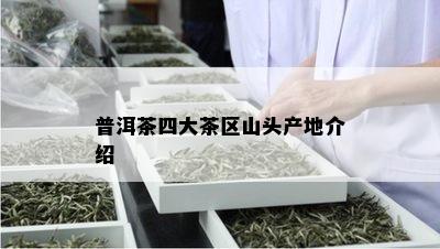 普洱茶四大茶区山头产地介绍