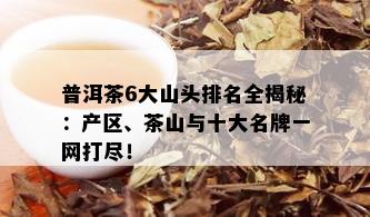 普洱茶6大山头排名全揭秘：产区、茶山与十大名牌一网打尽！