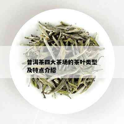 普洱茶四大茶场的茶叶类型及特点介绍