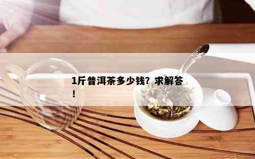 1斤普洱茶多少钱？求解答！