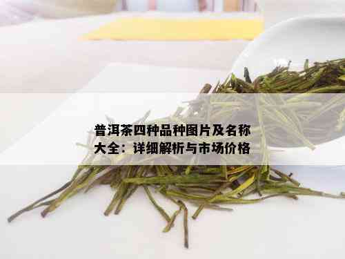 普洱茶四种品种图片及名称大全：详细解析与市场价格