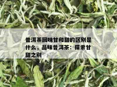 普洱茶回味甘和甜的区别是什么，品味普洱茶：探索甘甜之别