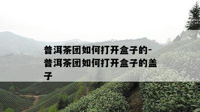 普洱茶团如何打开盒子的-普洱茶团如何打开盒子的盖子