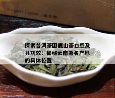 探索普洱茶困鹿山茶口感及其功效：揭秘云南著名产地的具 *** 置