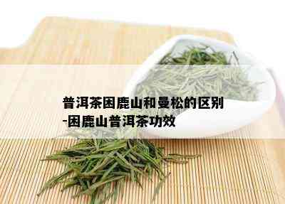 普洱茶困鹿山和曼松的区别-困鹿山普洱茶功效