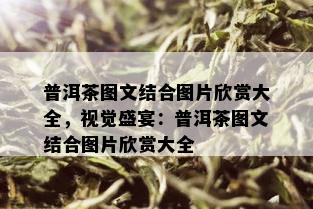 普洱茶图文结合图片欣赏大全，视觉盛宴：普洱茶图文结合图片欣赏大全