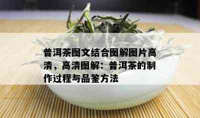 普洱茶图文结合图解图片高清，高清图解：普洱茶的制作过程与品鉴方法