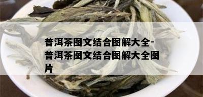 普洱茶图文结合图解大全-普洱茶图文结合图解大全图片