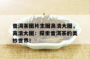 普洱茶图片主图高清大图，高清大图：探索普洱茶的美妙世界！