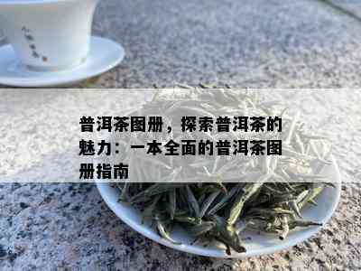 普洱茶图册，探索普洱茶的魅力：一本全面的普洱茶图册指南