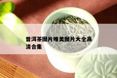 普洱茶图片唯美图片大全高清合集