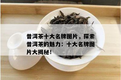 普洱茶十大名牌图片，探索普洱茶的魅力：十大名牌图片大揭秘！