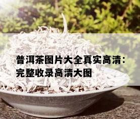 普洱茶图片大全真实高清：完整收录高清大图