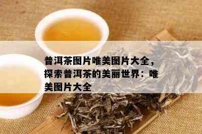 普洱茶图片唯美图片大全，探索普洱茶的美丽世界：唯美图片大全