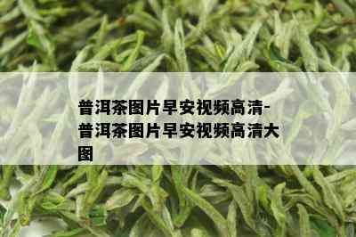 普洱茶图片早安视频高清-普洱茶图片早安视频高清大图