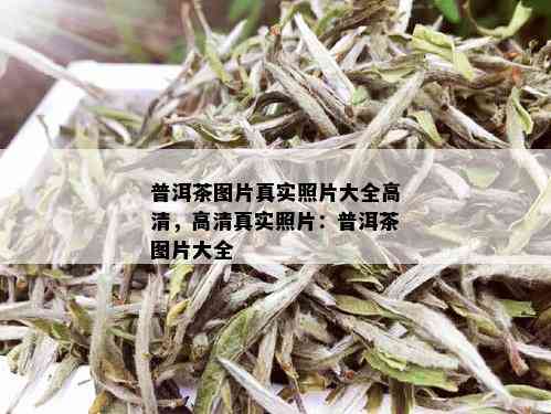 普洱茶图片真实照片大全高清，高 *** 实照片：普洱茶图片大全