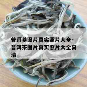 普洱茶图片真实照片大全-普洱茶图片真实照片大全高清