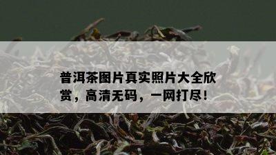 普洱茶图片真实照片大全欣赏，高清 *** ，一网打尽！