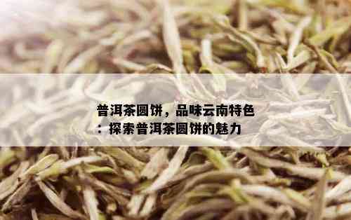 普洱茶圆饼，品味云南特色：探索普洱茶圆饼的魅力