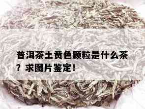 普洱茶土黄色颗粒是什么茶？求图片鉴定！