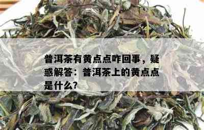 普洱茶有黄点点咋回事，疑惑解答：普洱茶上的黄点点是什么？