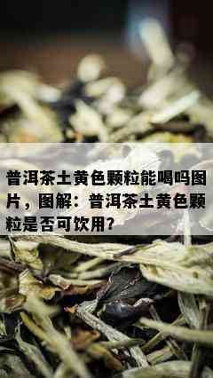 普洱茶土黄色颗粒能喝吗图片，图解：普洱茶土黄色颗粒是否可饮用？