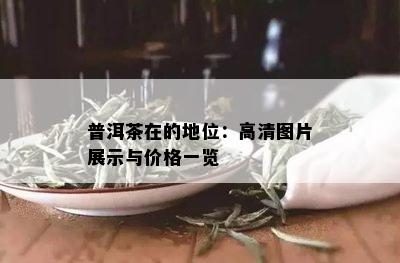 普洱茶在的地位：高清图片展示与价格一览