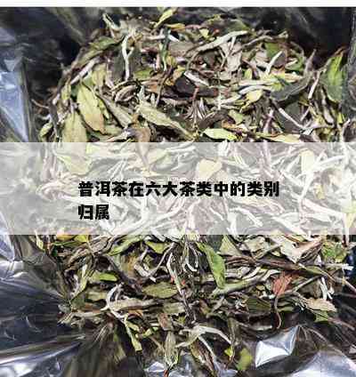 普洱茶在六大茶类中的类别归属