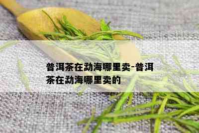 普洱茶在勐海哪里卖-普洱茶在勐海哪里卖的