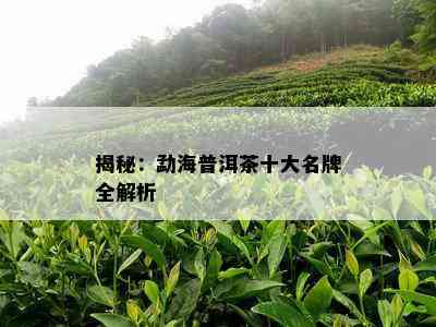 揭秘：勐海普洱茶十大名牌全解析