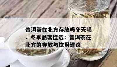 普洱茶在北方存放吗冬天喝，冬季品茗佳选：普洱茶在北方的存放与饮用建议