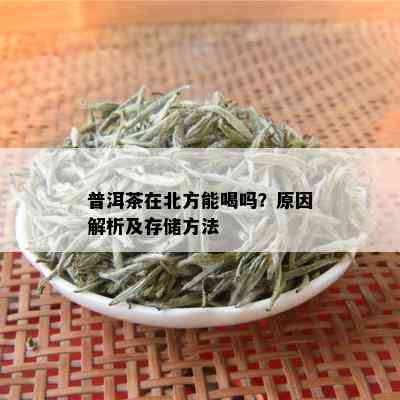 普洱茶在北方能喝吗？原因解析及存储方法