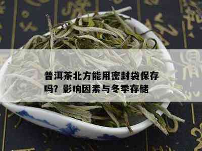 普洱茶北方能用密封袋保存吗？影响因素与冬季存储