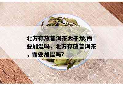 北方存放普洱茶太干燥,需要加湿吗，北方存放普洱茶，需要加湿吗？