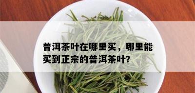 普洱茶叶在哪里买，哪里能买到正宗的普洱茶叶？