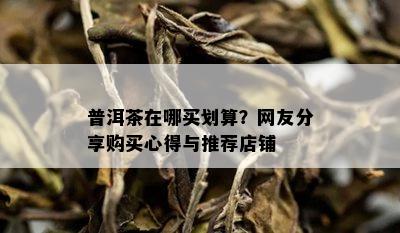 普洱茶在哪买划算？网友分享购买心得与推荐店铺