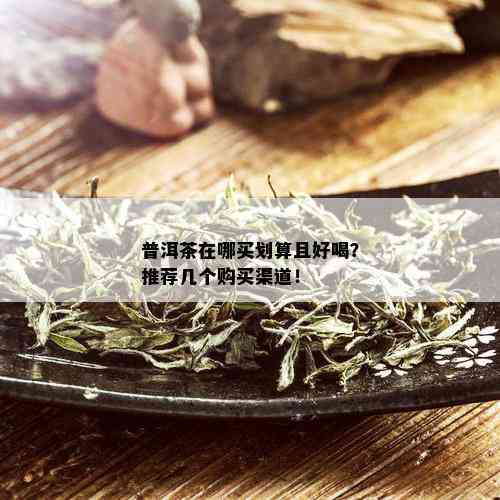 普洱茶在哪买划算且好喝？推荐几个购买渠道！