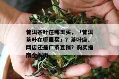 普洱茶叶在哪里买，「普洱茶叶在哪里买」？茶叶店、网店还是厂家直销？购买指南全解析